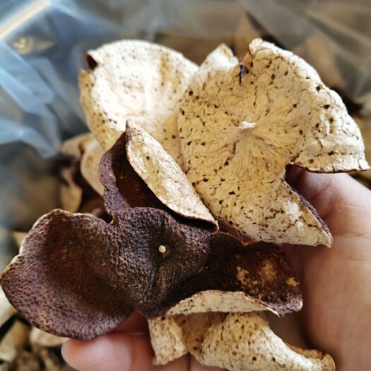 臻选好货新会十年陈老陈皮自然陈化100g品鉴款