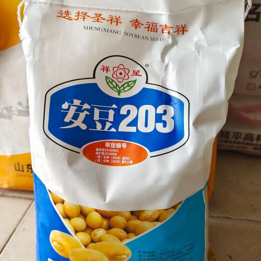 巨野县黄豆种子 安豆203，株高62厘米，分枝多，结荚密，高抗高温