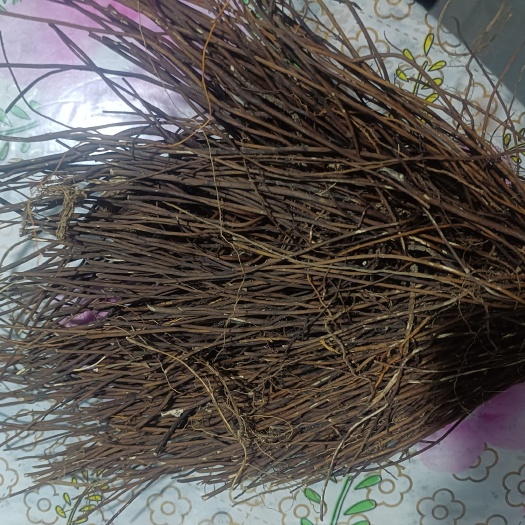 围场县威灵仙