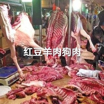 紅豆牛副產品牛羊狗