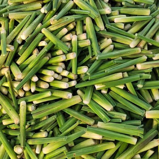 弥勒市云南弥勒自产茭白，寻找附近稳定收购商。