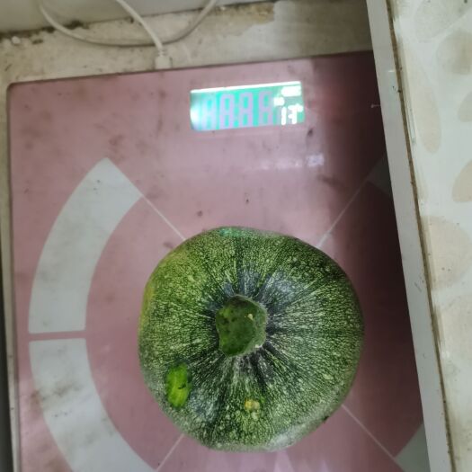 元谋县小圆瓜