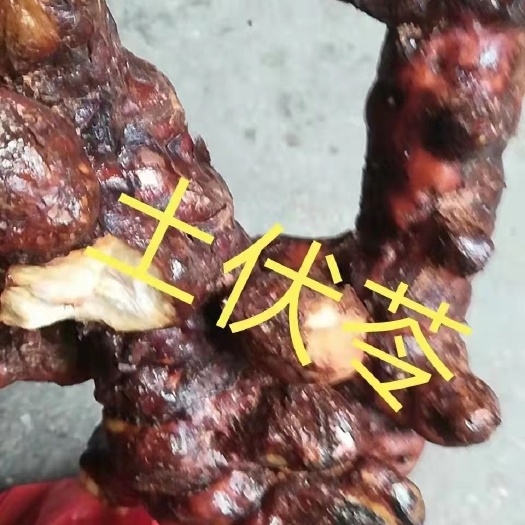 德庆县非种植土茯苓