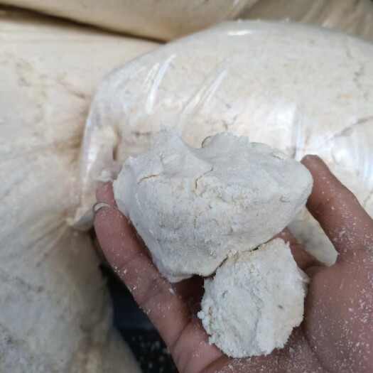 深圳新鲜出炉的豆腐渣