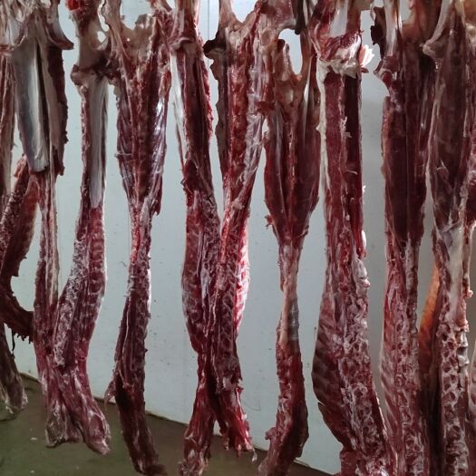 成都多肉羊蝎骨