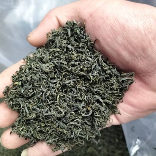 松阳县香茶出锅