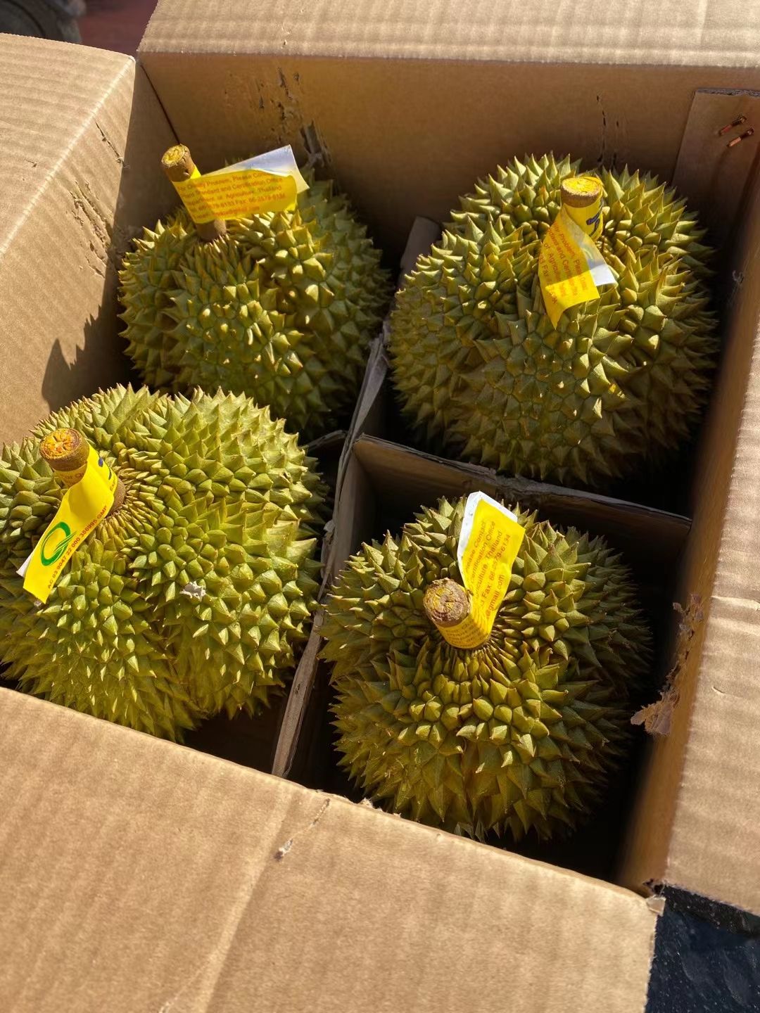 金枕榴莲供应全国为电商社群团购供货包售后支持一件代发