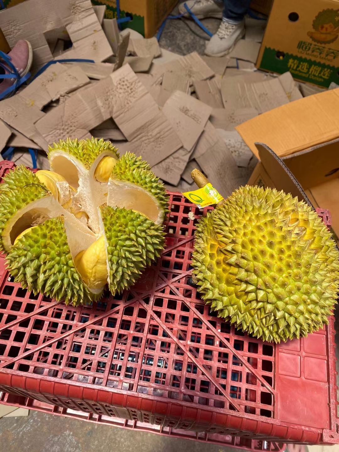 金枕榴莲供应全国为电商社群团购供货包售后支持一件代发