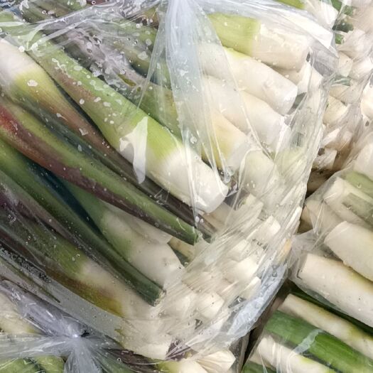 厦门茭白