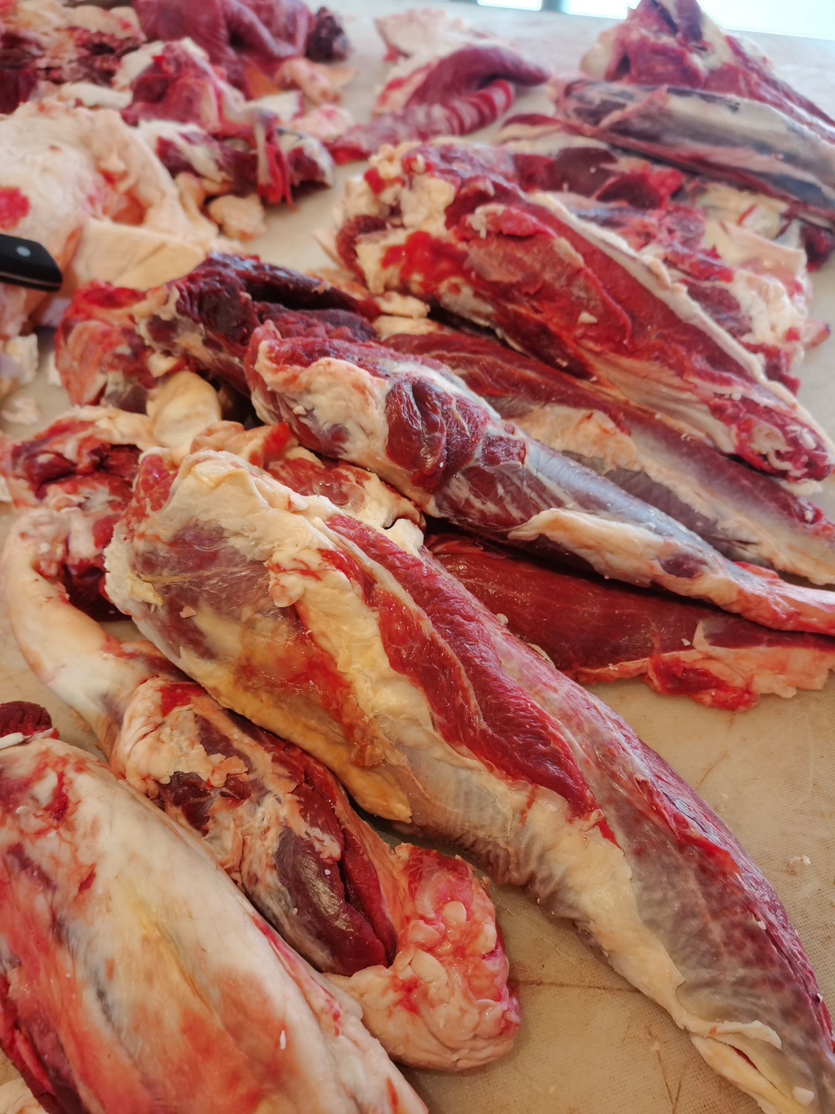 清真新鲜纯干肉 牛肉 上脑 腰板 牛前后腿 牛排  牛腱子
