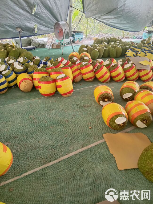 泰八红肉菠萝蜜 供应市场 社区团购 对接全国
