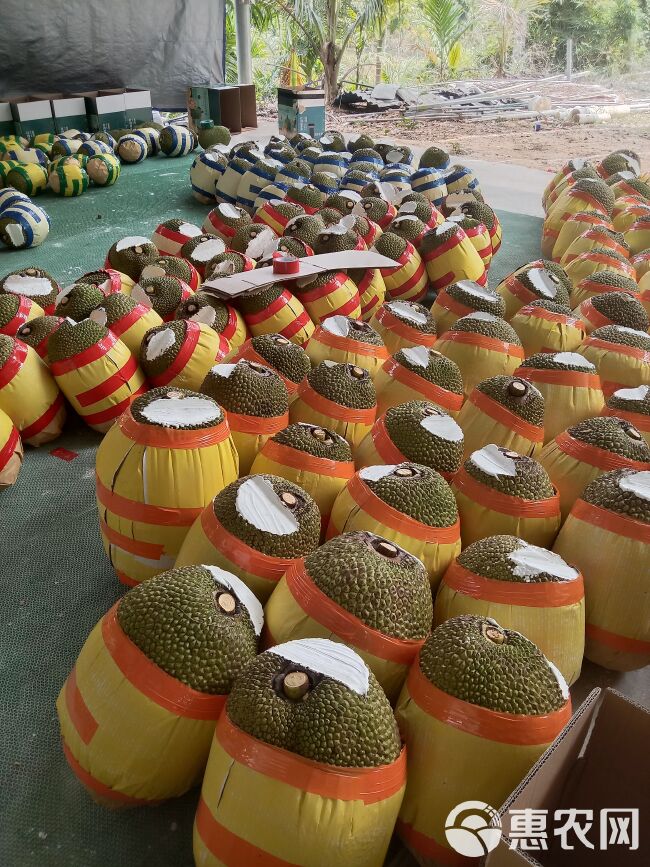泰八红肉菠萝蜜 供应市场 社区团购 对接全国