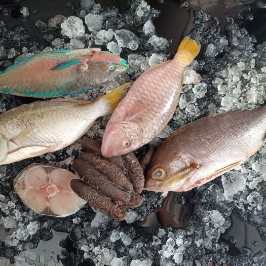 琼海市海鲜礼包-西沙群岛海鲜礼包