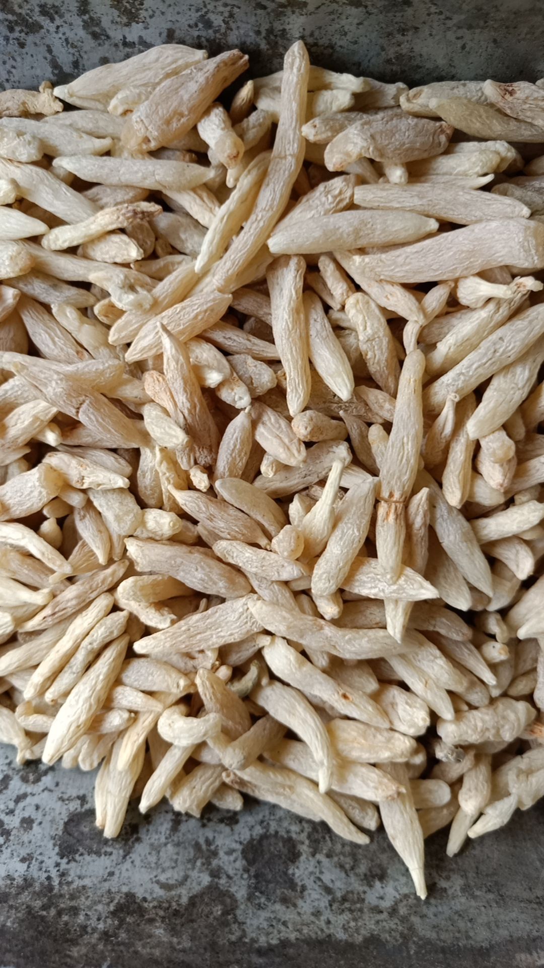 川麦冬  中药材川麦冬 麦冬（各种规格中药材批发零售)