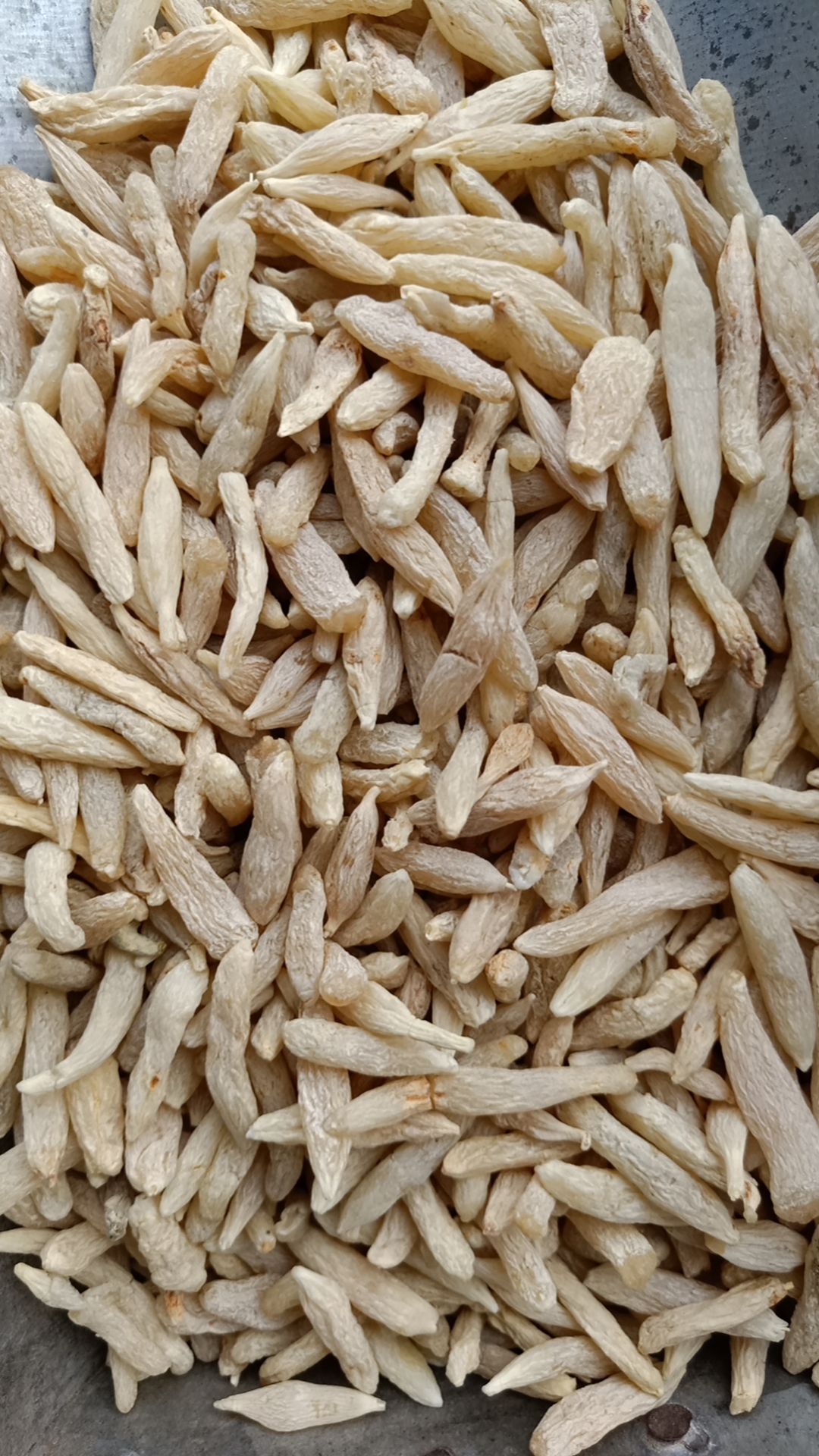 川麦冬  中药材川麦冬 麦冬（各种规格中药材批发零售)