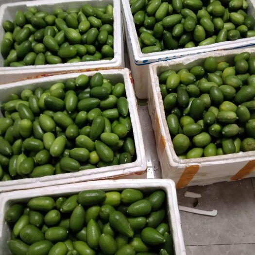 钦州海南香水柠檬，香水柠檬，青柠檬/奶茶店专用