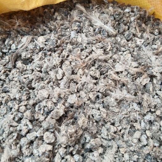 修武县鹌鹑粪