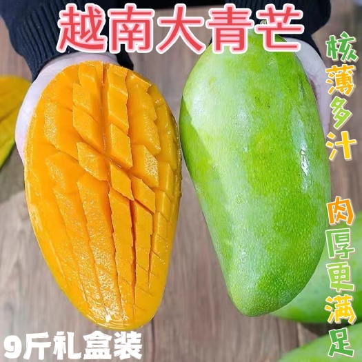 越南大青芒果9斤礼盒装肉厚特大青芒果新鲜水果甜心芒果金煌芒果
