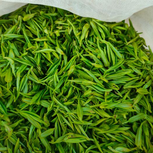 荒山茶叶，不施肥不打药，自然生长，清香醇正天然绿色健康食品