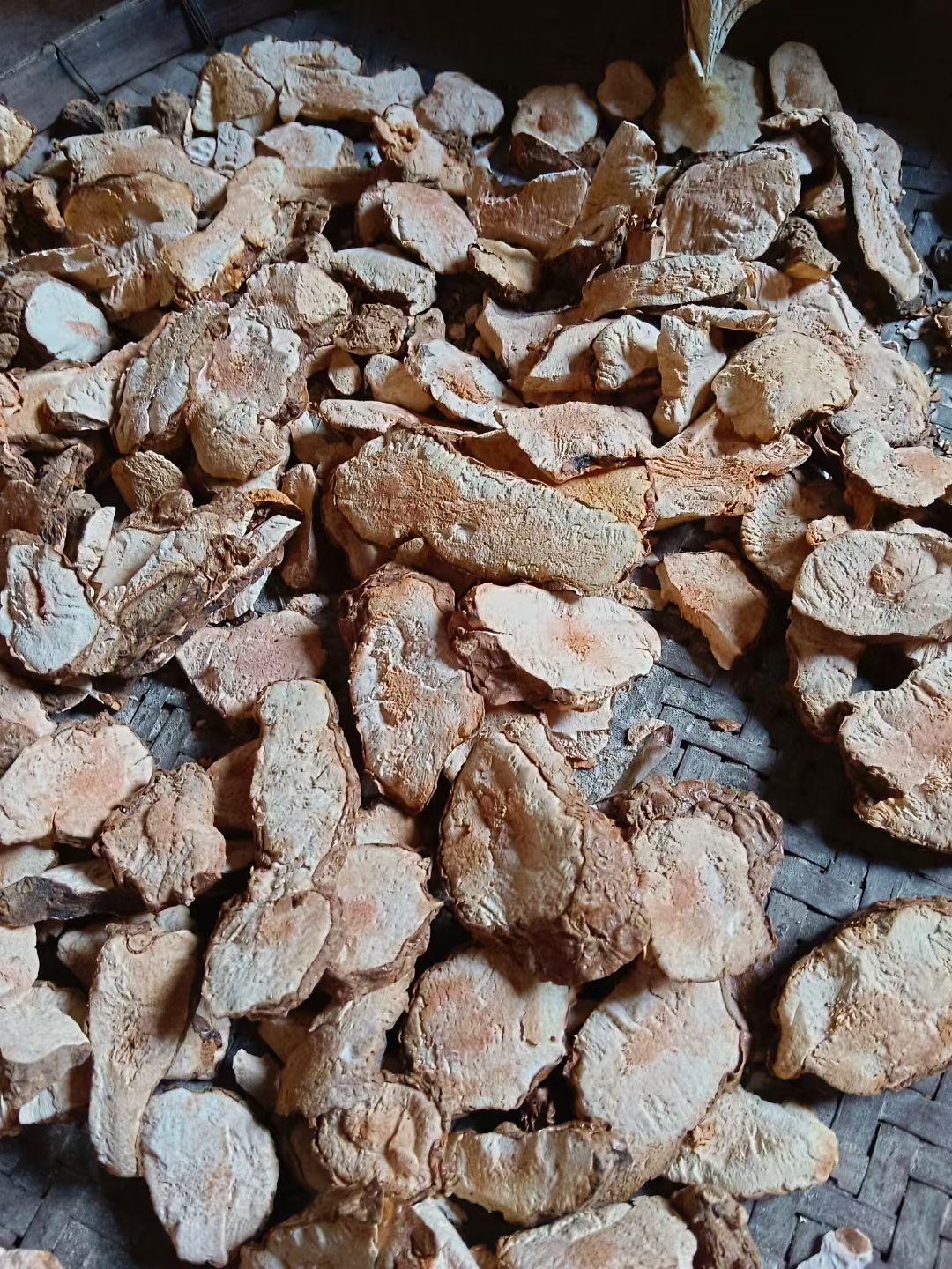 非种植土茯苓