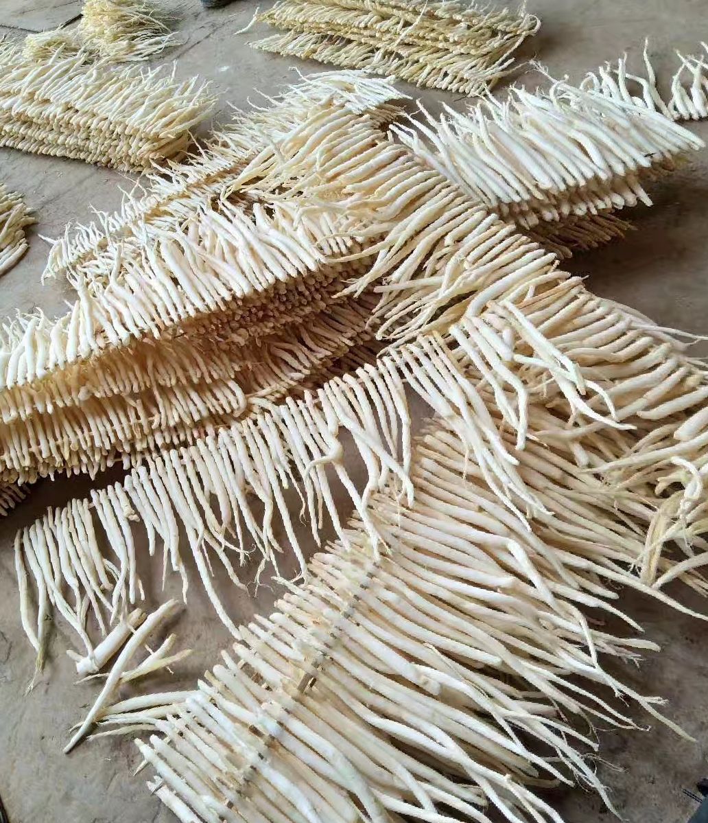 川明参 沙参 南沙参 四川特产干沙参 节子 统货 精选细条