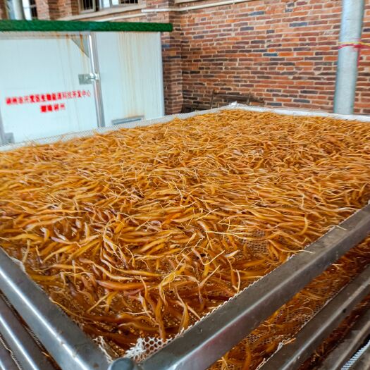 永兴县新鲜出炉天门冬