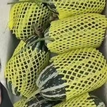 博洋