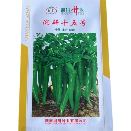 湘妍15号辣椒苗