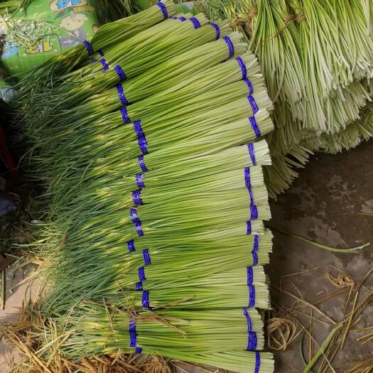 邳州市邳州白帽蒜苔大量供应。