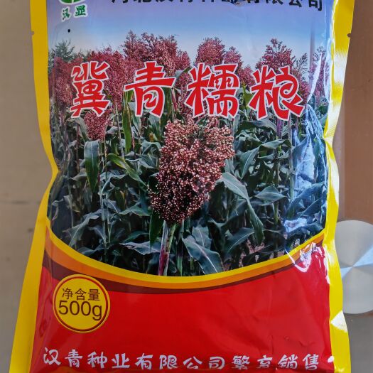 青县高粱种子  高产糯性小颗粒品种：冀青糯粮
