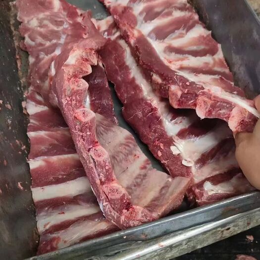 母猪寸排
