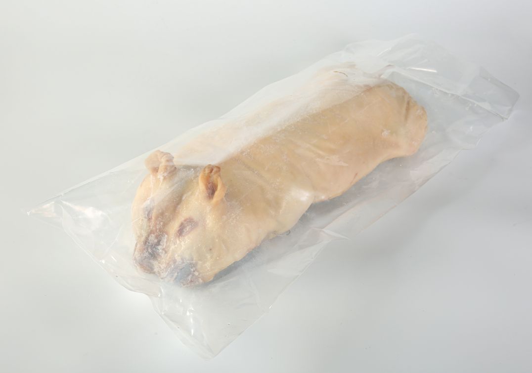 烧腊匠乳猪胚多规格可选