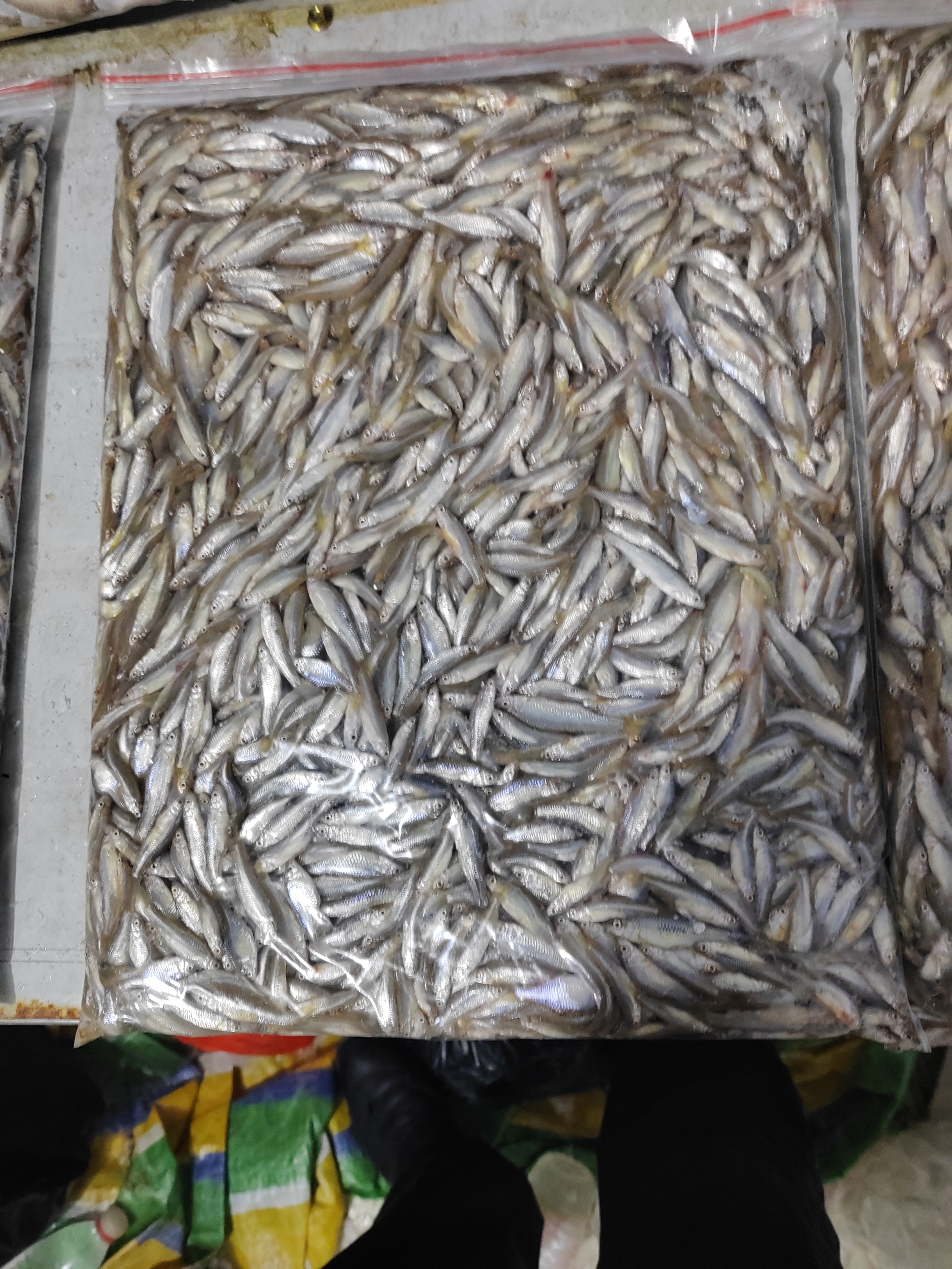 鱼，小麦穗。绿色健康货源充足