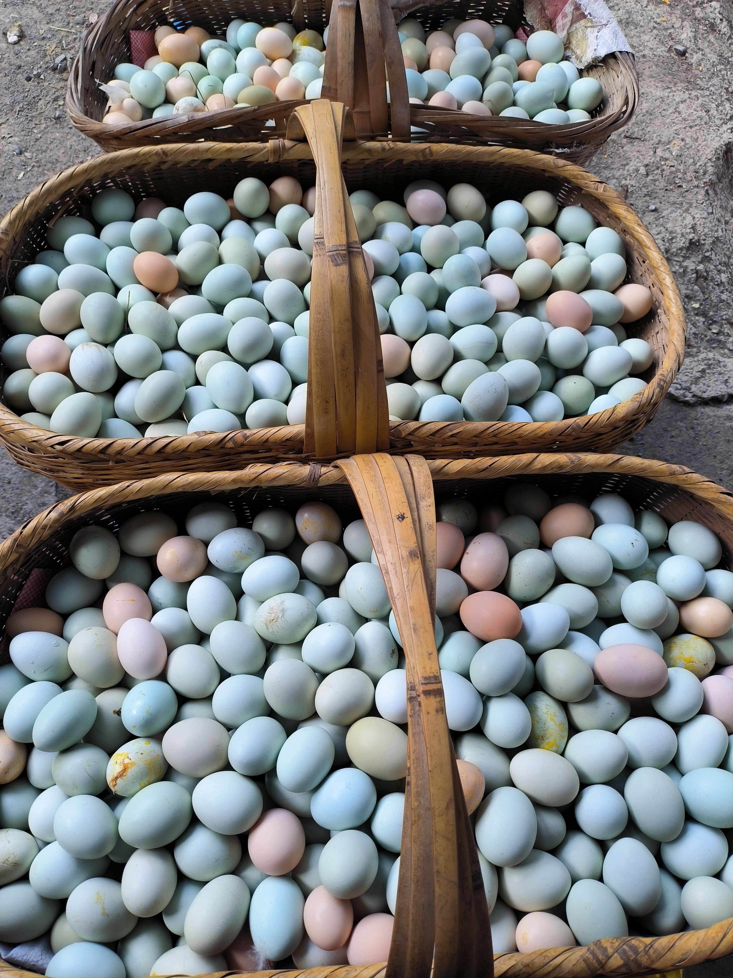 京山市绿壳蛋 初生蛋小绿小码 绿壳鸡蛋生态林地散养土鸡蛋420枚