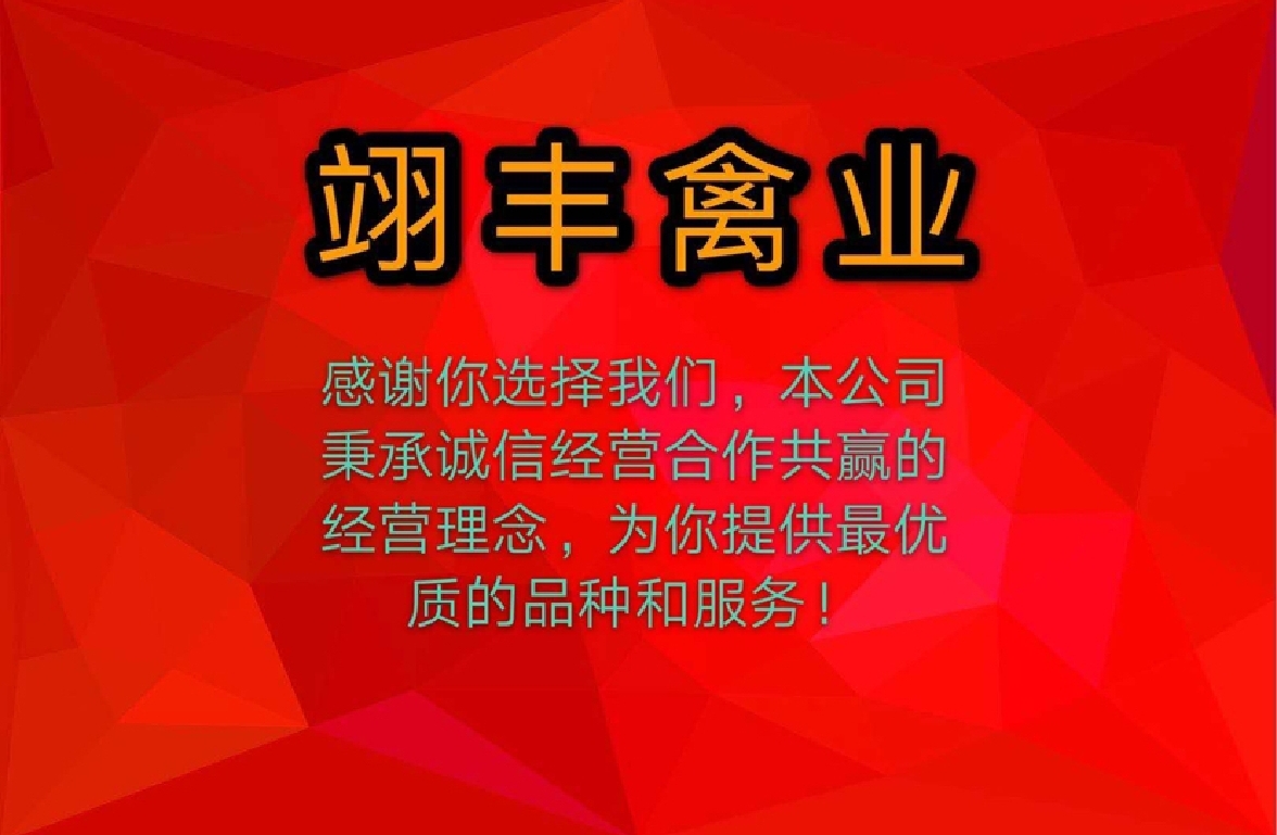 翊豐禽業(yè)
