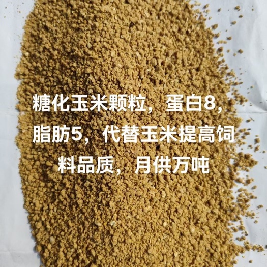 石家庄糖化玉米颗粒，完全代替玉米和部分麸皮豆粕