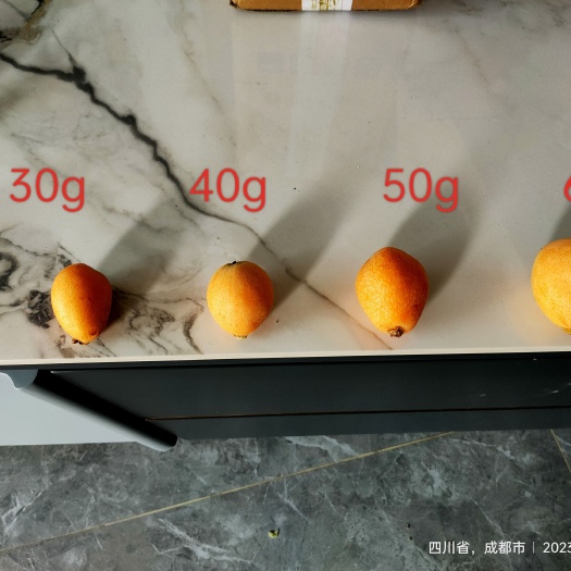 金堂县早种枇杷  全是30g以上的  口感好  个头匀称