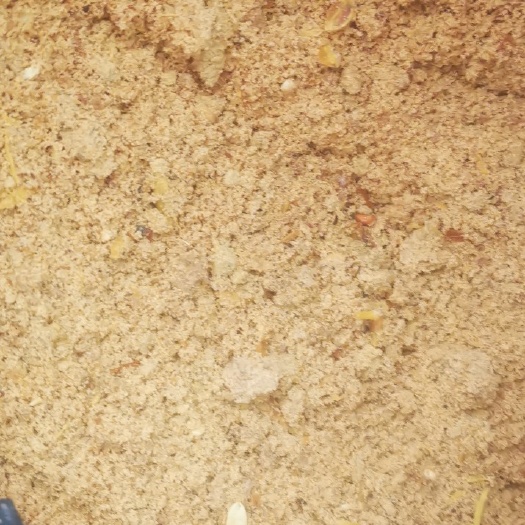 烟台脱水苹果渣