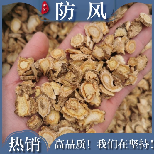 安国市防风大片 正新货品保证 中药材批发零售  干货 500克包邮