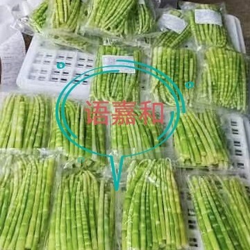 十堰竹笋，绿笋，厂家直销