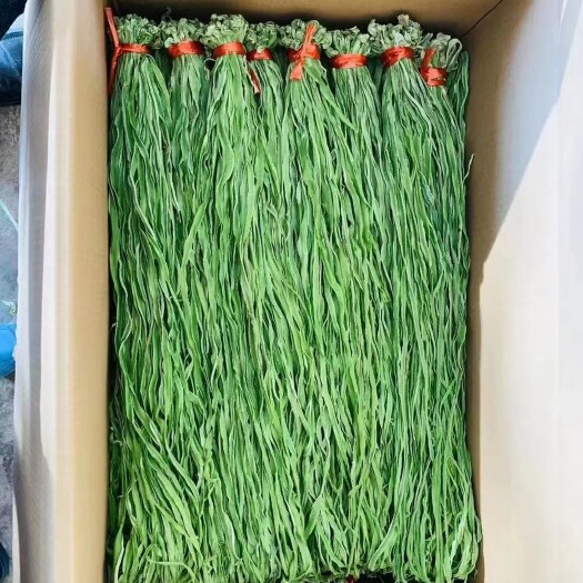 涡阳县包邮箱装特级无叶贡菜新鲜苔干苔菜农家干货脱水蔬菜一级菜