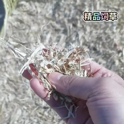 大庆玉米秸秆饲草（无土无膜无霉变、水分<15，保过夏）