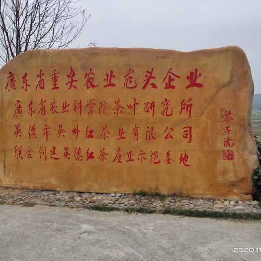 英德市红茶
