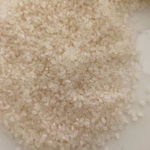肇源县东北大米，超级稻小町，米质，口感非常好。