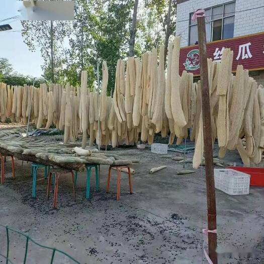义马市丝瓜络