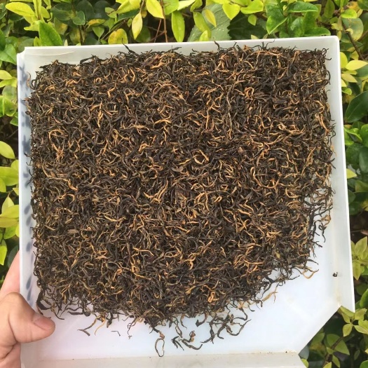 2025年金骏眉红茶，明前一级嫩芽今年新货批发价