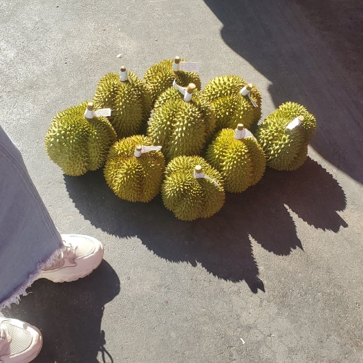 昆明甲仑榴莲