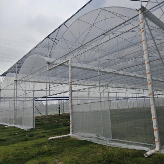 清远温室大棚专业定制 双层温室 农业大棚 简易大棚蔬菜钢架大棚