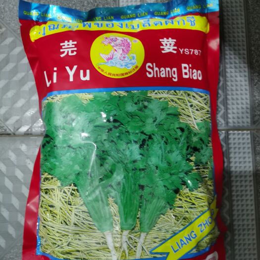 汕头芫荽，香菜种子，发芽率高，生长快，厂。