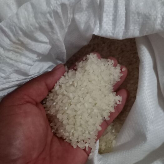 范县瑕瑜米业范县生态有机大米